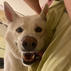 Meet your Posher, Edward